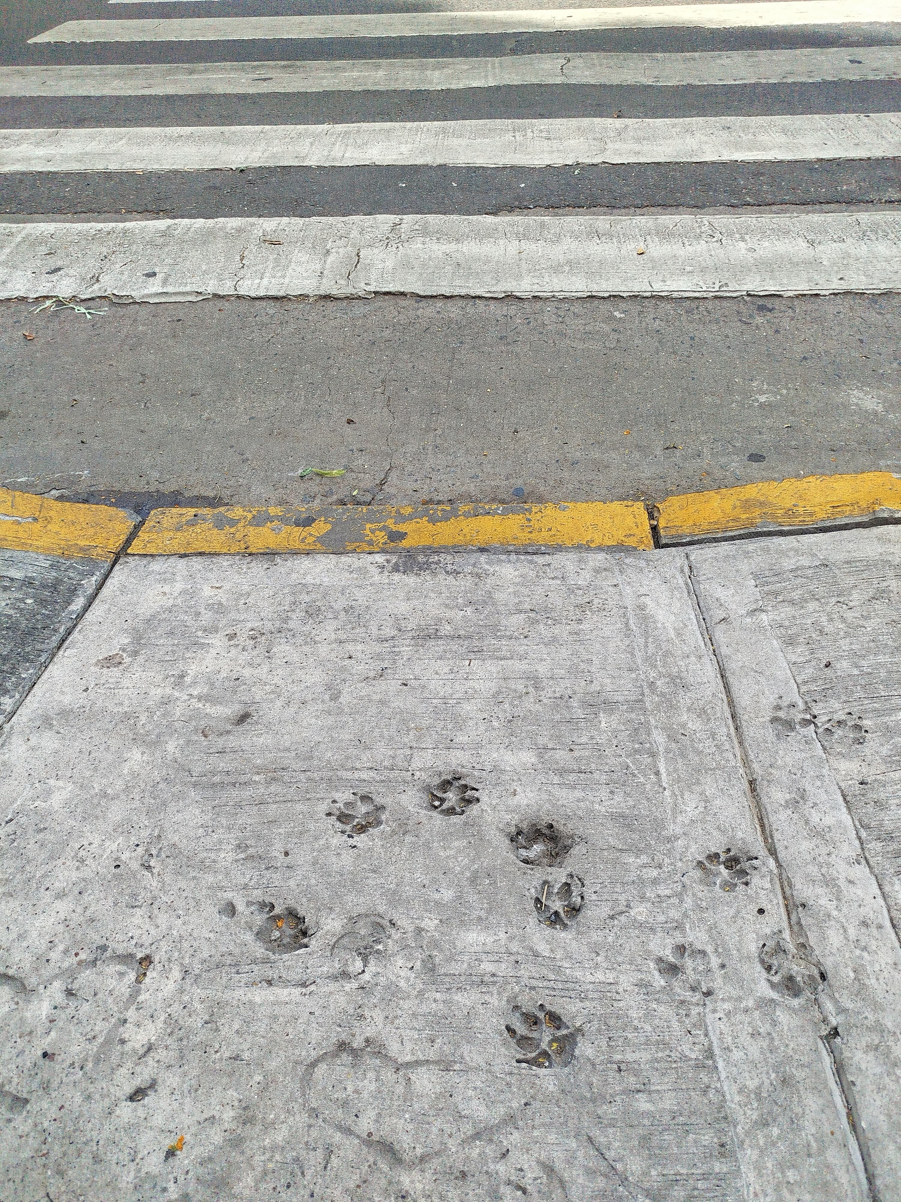  © Birgit Kastner-Lindenthaler